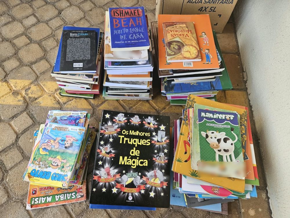 Livros infantis, livros paradidáticos e gibis arrecadados na campanha de doação de 2026, organizados em pilhas