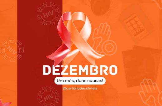 O PAPEL SOCIAL DOS CARTÓRIOS E A RELEVÂNCIA DAS CAMPANHAS DEZEMBRO VERMELHO E DEZEMBRO LARANJA